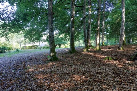 Villa em Ussel, Correze, Ussel - € 168.000 | Ref: 913V697M-tw - foto 22