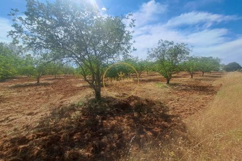 Helårsgrund i Paderne, Faro, Paderne - € 48.000 | Ref: 1146-10 - foto 5