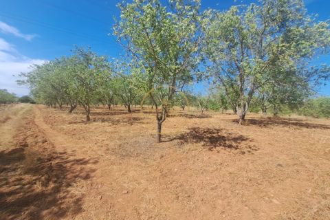 Helårsgrund i Paderne, Faro, Paderne - € 48.000 | Ref: 1146-10 - foto 6