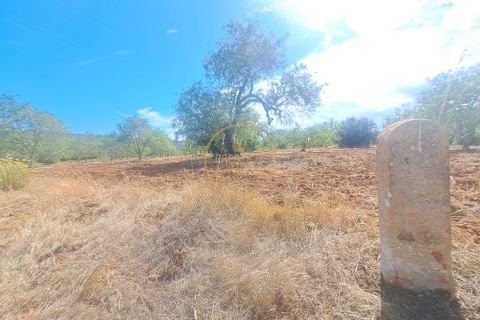 Helårsgrund i Paderne, Faro, Paderne - € 48.000 | Ref: 1146-10 - foto 8