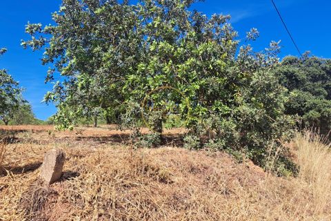 Helårsgrund i Paderne, Faro, Paderne - € 48.000 | Ref: 1146-10 - foto 9