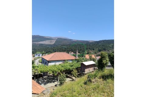 Farm i Caminha, Viana do Castelo, Caminha - € 265.000 | Ref: 2264 - foto 1