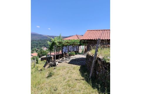 Farm i Caminha, Viana do Castelo, Caminha - € 265.000 | Ref: 2264 - foto 2