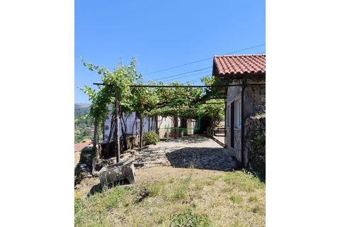 Farm i Caminha, Viana do Castelo, Caminha - € 265.000 | Ref: 2264 - foto 3