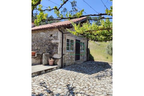 Farm i Caminha, Viana do Castelo, Caminha - € 265.000 | Ref: 2264 - foto 4