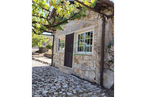 Farm i Caminha, Viana do Castelo, Caminha - € 265.000 | Ref: 2264 - foto 5