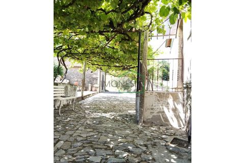 Farm i Caminha, Viana do Castelo, Caminha - € 265.000 | Ref: 2264 - foto 8