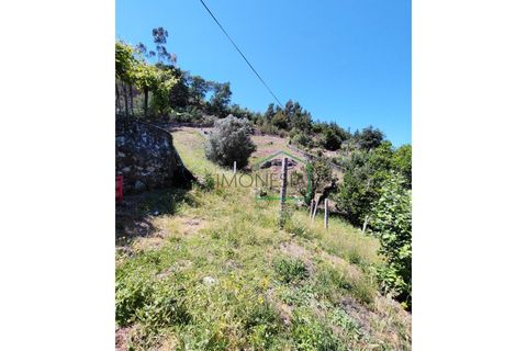Farm i Caminha, Viana do Castelo, Caminha - € 265.000 | Ref: 2264 - foto 10