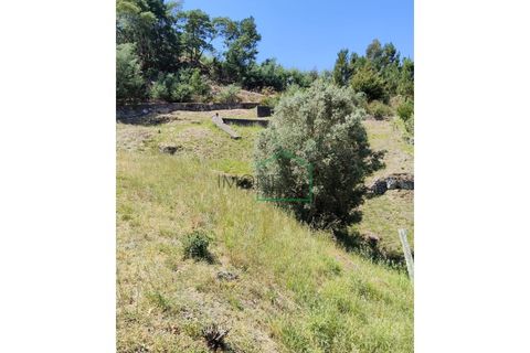 Farm i Caminha, Viana do Castelo, Caminha - € 265.000 | Ref: 2264 - foto 20