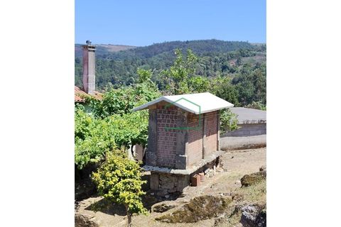Farm i Caminha, Viana do Castelo, Caminha - € 265.000 | Ref: 2264 - foto 26
