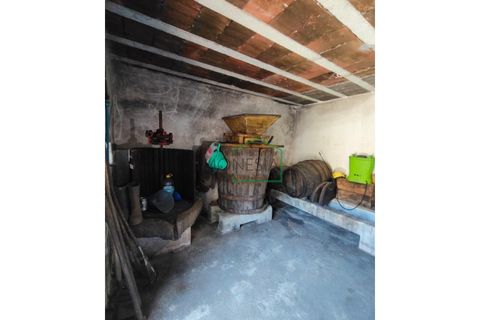 Farm i Caminha, Viana do Castelo, Caminha - € 265.000 | Ref: 2264 - foto 27