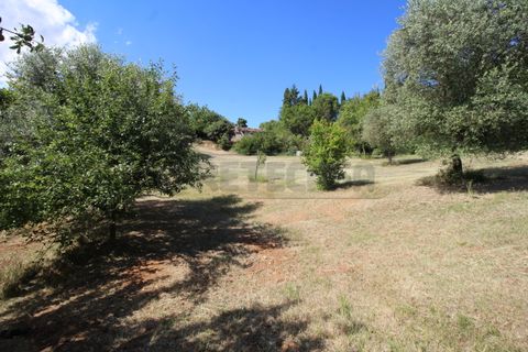 Villa i Val Liona, Vicenza, Val Liona - € 180.000 | Ref: AG2607 - foto 7