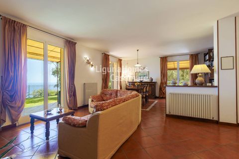 Villa a Cipressa, Imperia, Cipressa - € 950.000 | Ref: 7V31 - foto 3
