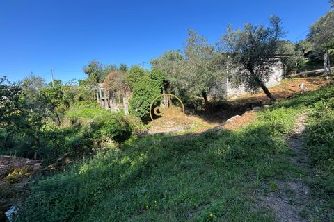 Byhus i Amares, Braga, Amares - € 15.000 | Ref: ONE142007-1 - foto 8