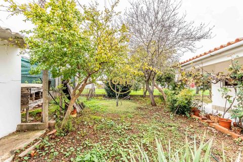 Byhus i Silves, Faro, Silves - € 415.000 | Ref: ONE461750-11 - foto 21