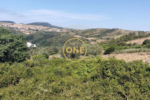 Helårsgrund i Mafra, Lisbon, Mafra - € 97.000 | Ref: ONE421719-18 - foto 14