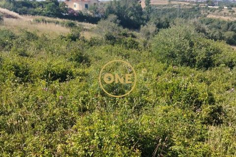 Helårsgrund i Mafra, Lisbon, Mafra - € 97.000 | Ref: ONE421719-18 - foto 15