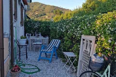 Haus in Seravezza, Lucca, Seravezza - € 2.650/Monat | Ref: ALB 67 - Foto 11
