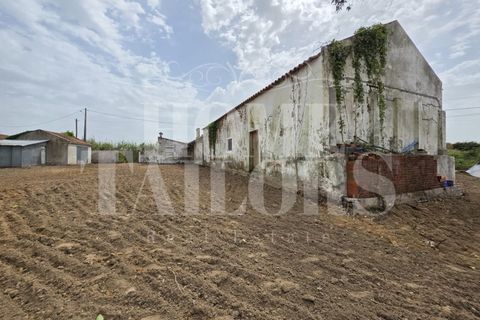 Villa i Lourinha, Lisbon, Lourinha - € 165.000 | Ref: HT_41040 - foto 8