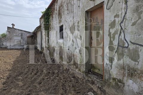 Villa i Lourinha, Lisbon, Lourinha - € 165.000 | Ref: HT_41040 - foto 13