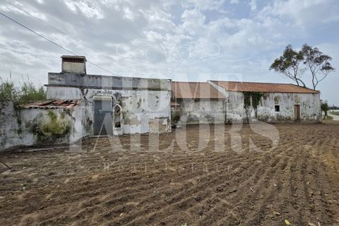 Villa i Lourinha, Lisbon, Lourinha - € 165.000 | Ref: HT_41040 - foto 16