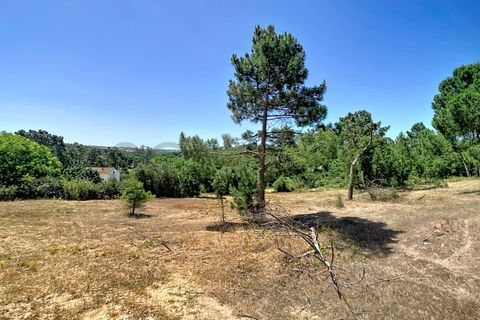 Villa i Sesimbra, Setubal, Sesimbra - € 645.000 | Ref: 10858 - foto 23