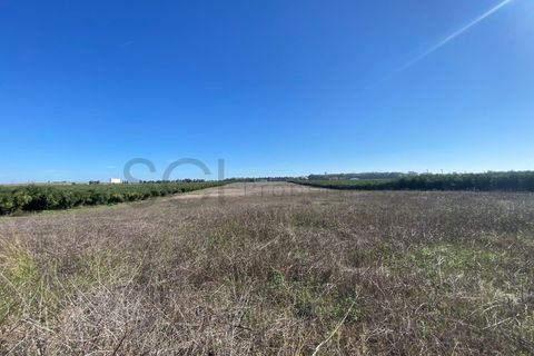 Tomt i Beja, Beja, Beja - € 70 000 | Ref: 10191 - foto 8
