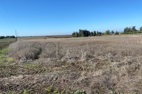 Tomt i Beja, Beja, Beja - € 70 000 | Ref: 10191 - foto 11