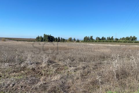 Tomt i Beja, Beja, Beja - € 70 000 | Ref: 10191 - foto 13
