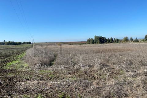 Tomt i Beja, Beja, Beja - € 70 000 | Ref: 10191 - foto 14