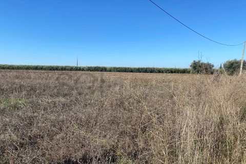 Tomt i Beja, Beja, Beja - € 70 000 | Ref: 10191 - foto 15