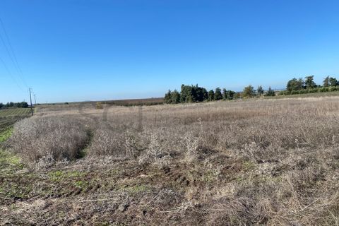 Tomt i Beja, Beja, Beja - € 70 000 | Ref: 10191 - foto 22