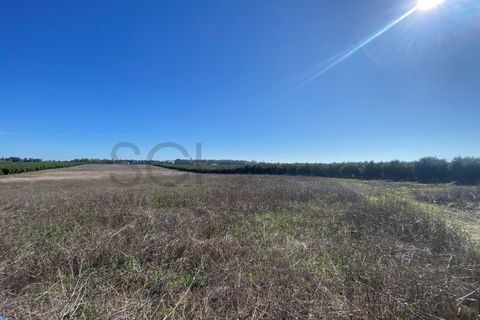 Tomt i Beja, Beja, Beja - € 70 000 | Ref: 10191 - foto 24
