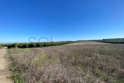 Tomt i Beja, Beja, Beja - € 70 000 | Ref: 10191 - foto 28
