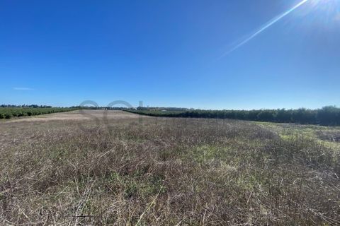 Tomt i Beja, Beja, Beja - € 70 000 | Ref: 10191 - foto 30