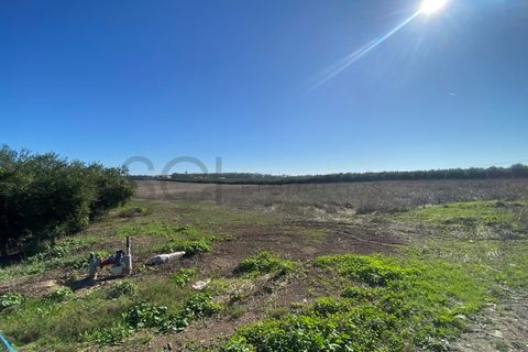 Terra em Beja, Beja, Beja - € 110.000 | Ref: 10192 - foto 2