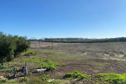 Terra em Beja, Beja, Beja - € 110.000 | Ref: 10192 - foto 3