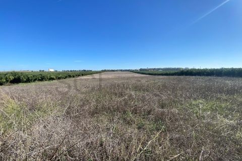 Terra em Beja, Beja, Beja - € 110.000 | Ref: 10192 - foto 7