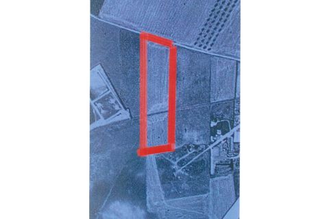 Terra em Beja, Beja, Beja - € 110.000 | Ref: 10192 - foto 12