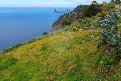 Helårsgrund i Ponta do Sol, Madeira, Ponta do Sol - € 150.000 | Ref: 123511224-269 - foto 1