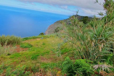 Helårsgrund i Ponta do Sol, Madeira, Ponta do Sol - € 150.000 | Ref: 123511224-269 - foto 4