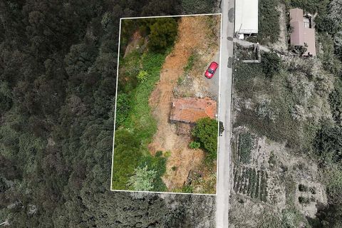 Villa i Calheta, Madeira, Calheta - € 137.000 | Ref: 123511195-24 - foto 3