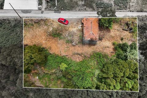 Villa i Calheta, Madeira, Calheta - € 137.000 | Ref: 123511195-24 - foto 5