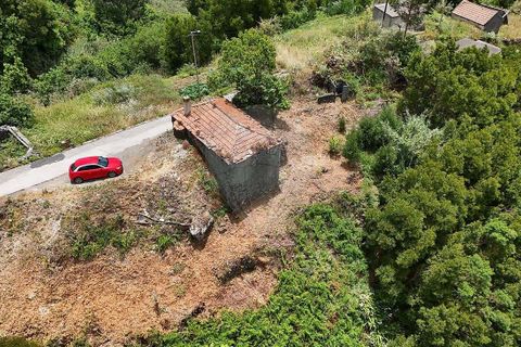Villa i Calheta, Madeira, Calheta - € 137.000 | Ref: 123511195-24 - foto 7