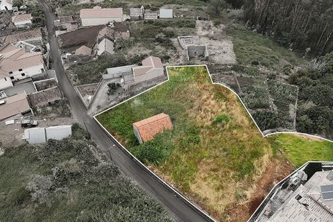 Helårsgrund i Calheta, Madeira, Calheta - € 135.000 | Ref: 123511195-23 - foto 13