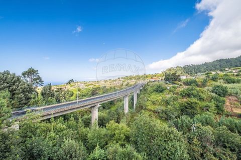 Villa i Calheta, Madeira, Calheta - € 495.000 | Ref: 123511098-160 - foto 37