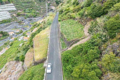 Helårsgrund i Calheta, Madeira, Calheta - € 135.000 | Ref: 123511098-158 - foto 10