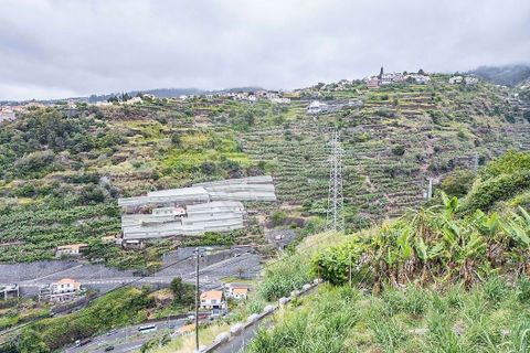 Helårsgrund i Calheta, Madeira, Calheta - € 135.000 | Ref: 123511098-158 - foto 14