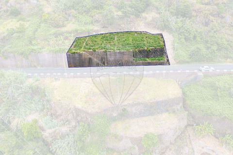 Terra em Calheta, Madeira, Calheta - € 135.000 | Ref: 123511098-158 - foto 15