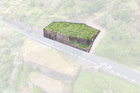 Terra em Calheta, Madeira, Calheta - € 135.000 | Ref: 123511098-158 - foto 16